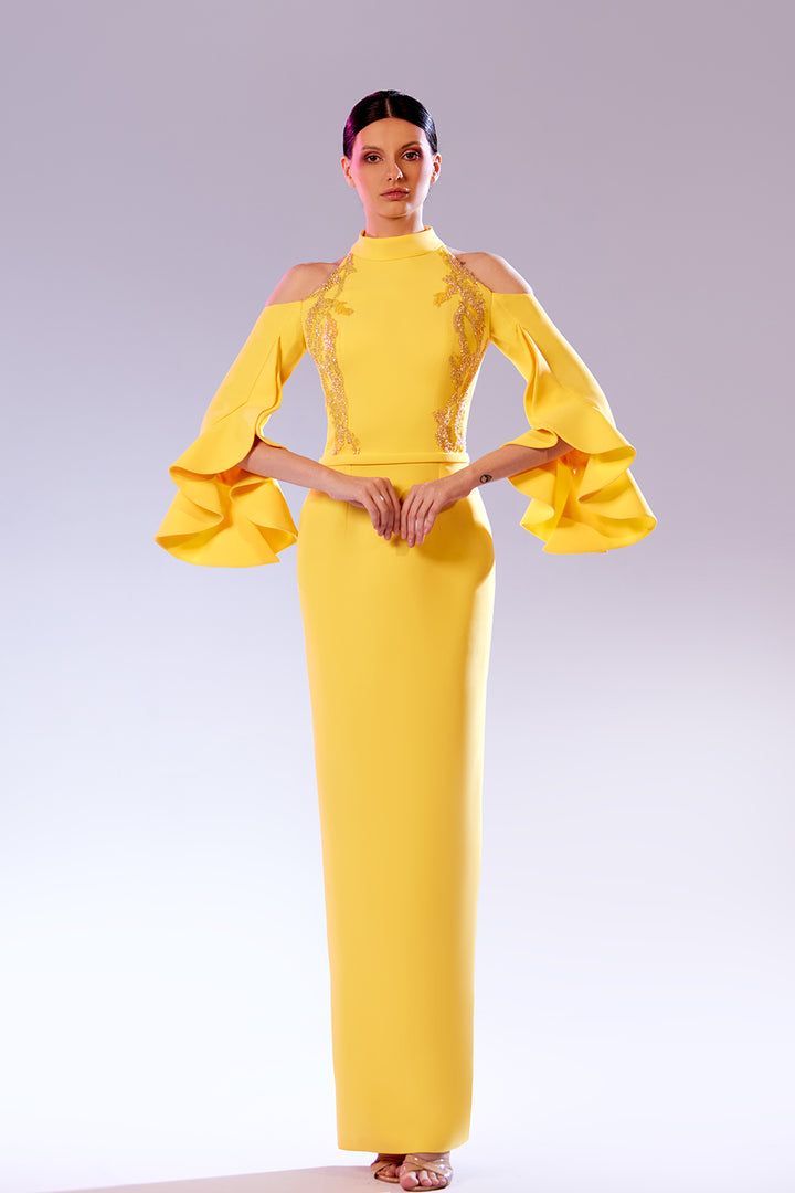 High-Neck with Ruffled Sleeves Embroidered Dress