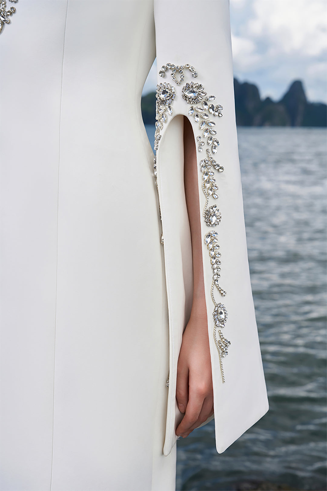 Crepe Dress with Crystal Sleeves