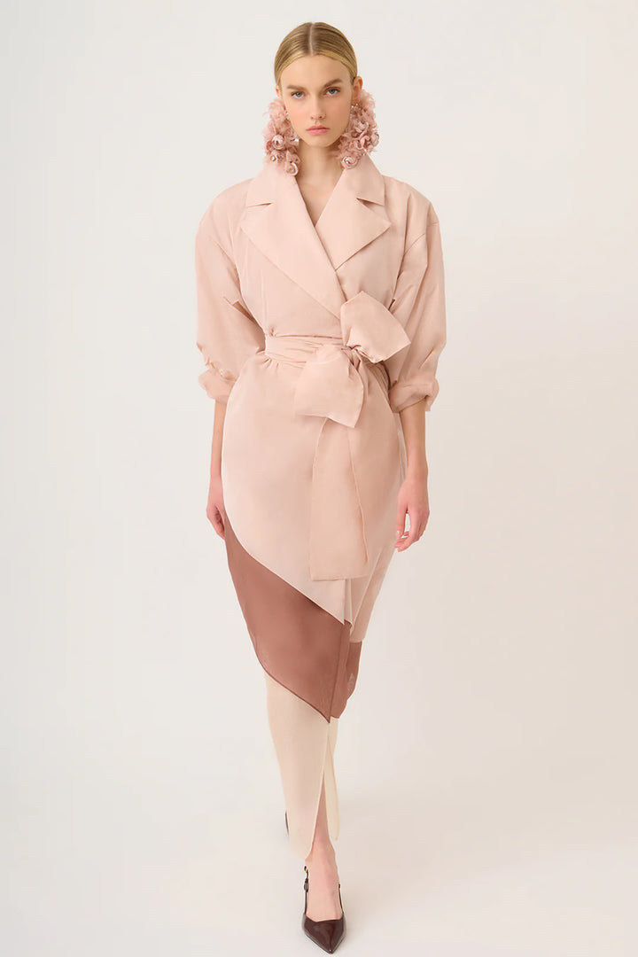 Taffeta Dress in Trench Coat Style