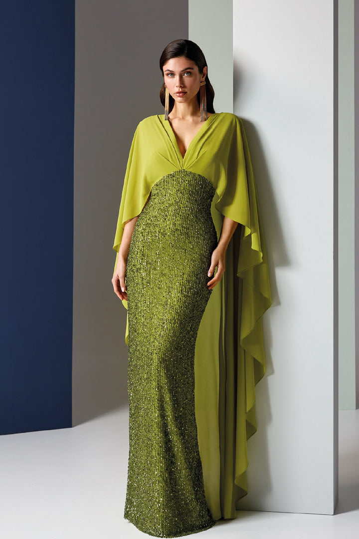 Crystal-Embroidered Tulle Dress and Cape Sleeves