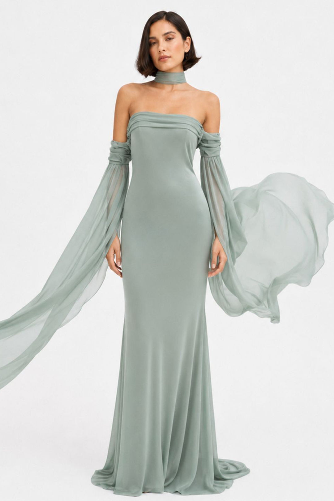 A-line Dress with Chiffon Sleeves