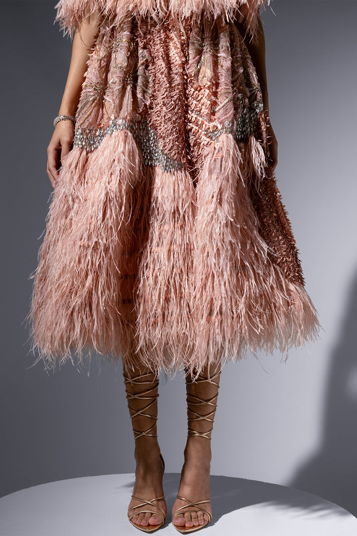 Tulle Cape and Lace Corset