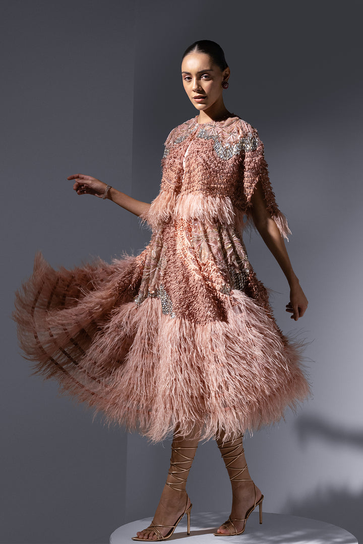 Tulle Cape and Lace Corset