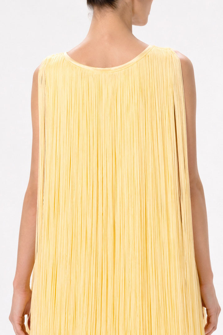 Fringe Long A-Line Dress