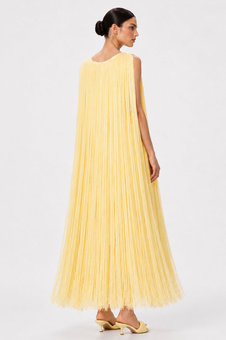 Fringe Long A-Line Dress