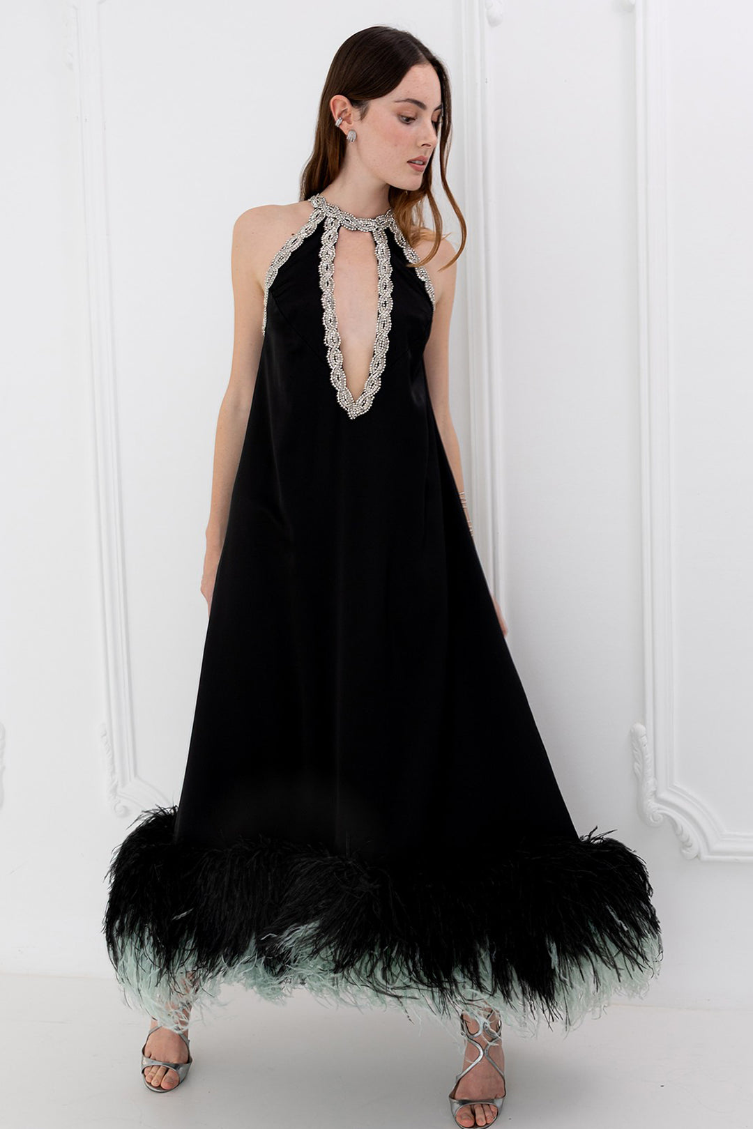 Dress with Crystal and Feather Embroidery