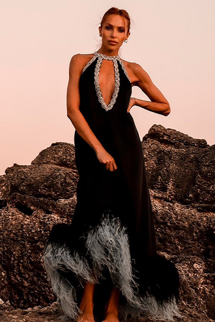 Dress with Crystal and Feather Embroidery
