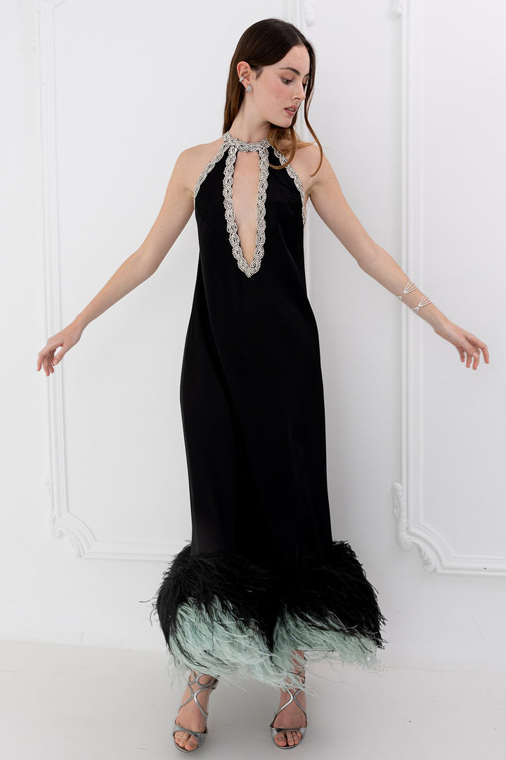 Dress with Crystal and Feather Embroidery
