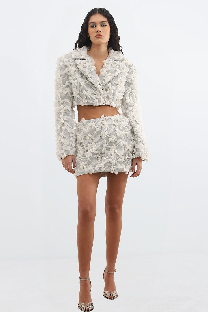 Pearl-Embroidered with Cropped Jacket and Mini Skirt