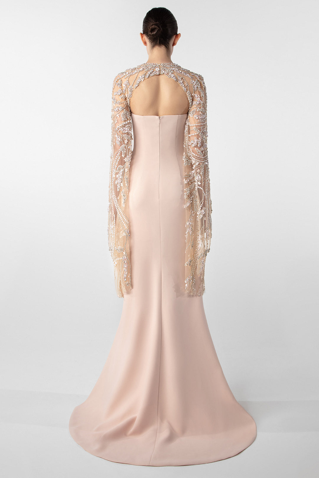 Embroidered Sheer Sleeve Column Gown