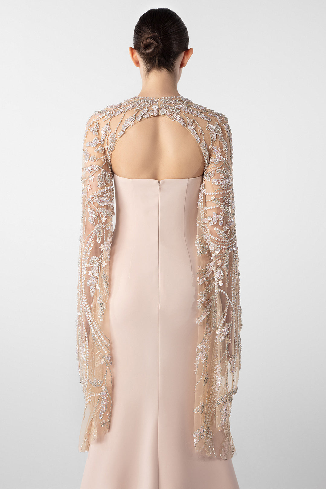 Embroidered Sheer Sleeve Column Gown