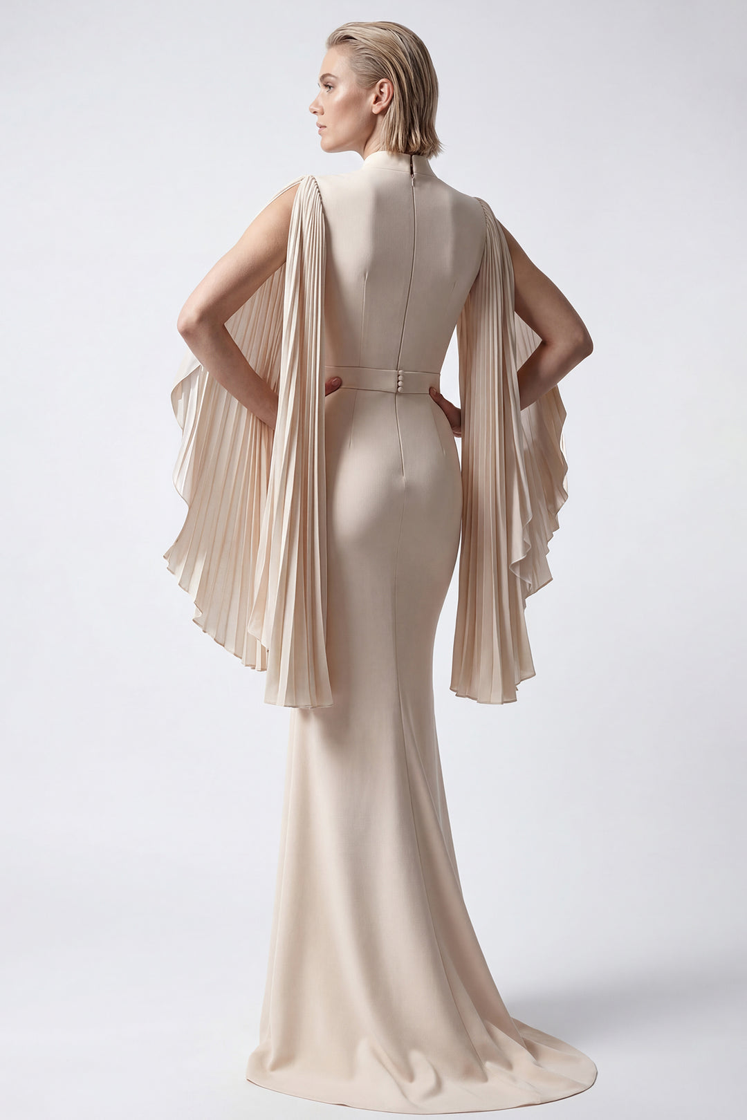 Pleated Sleeve Crepe Gown
