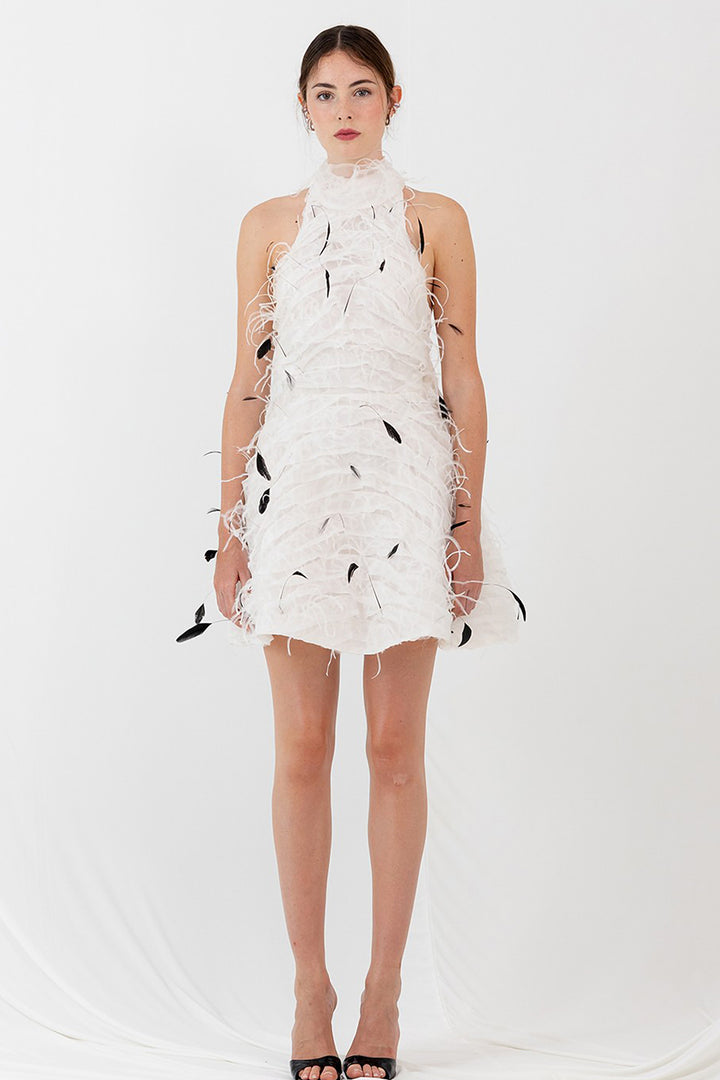Mini Dress with Feathers and Crystals