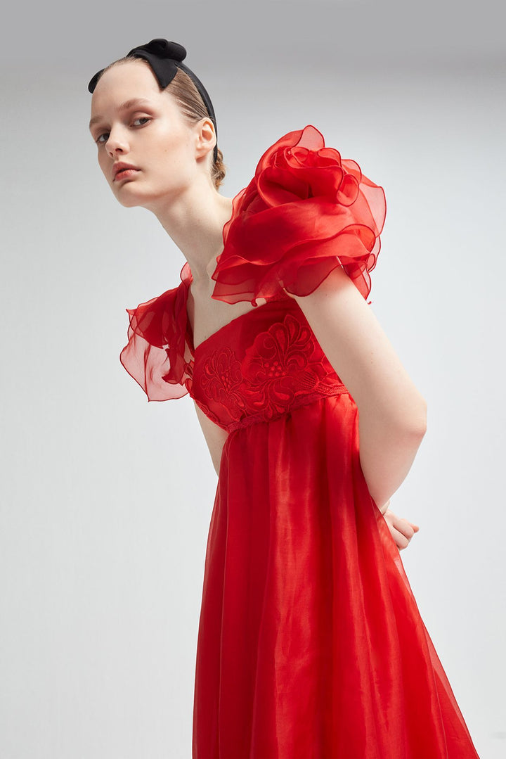 Embroidered Silk Organza Flared Dress