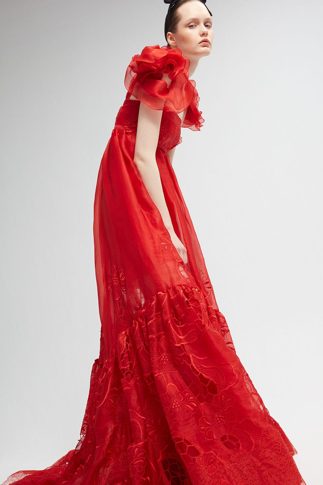 Embroidered Silk Organza Flared Dress