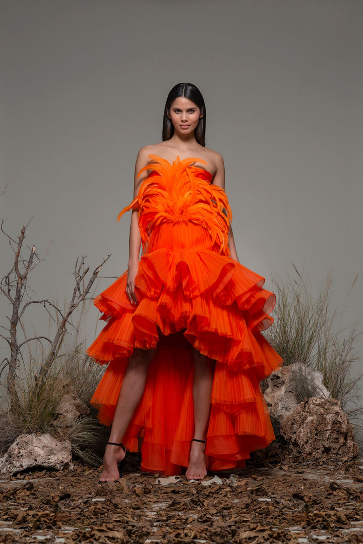 Strapless High-Low Dress with Feathers and Ruffles