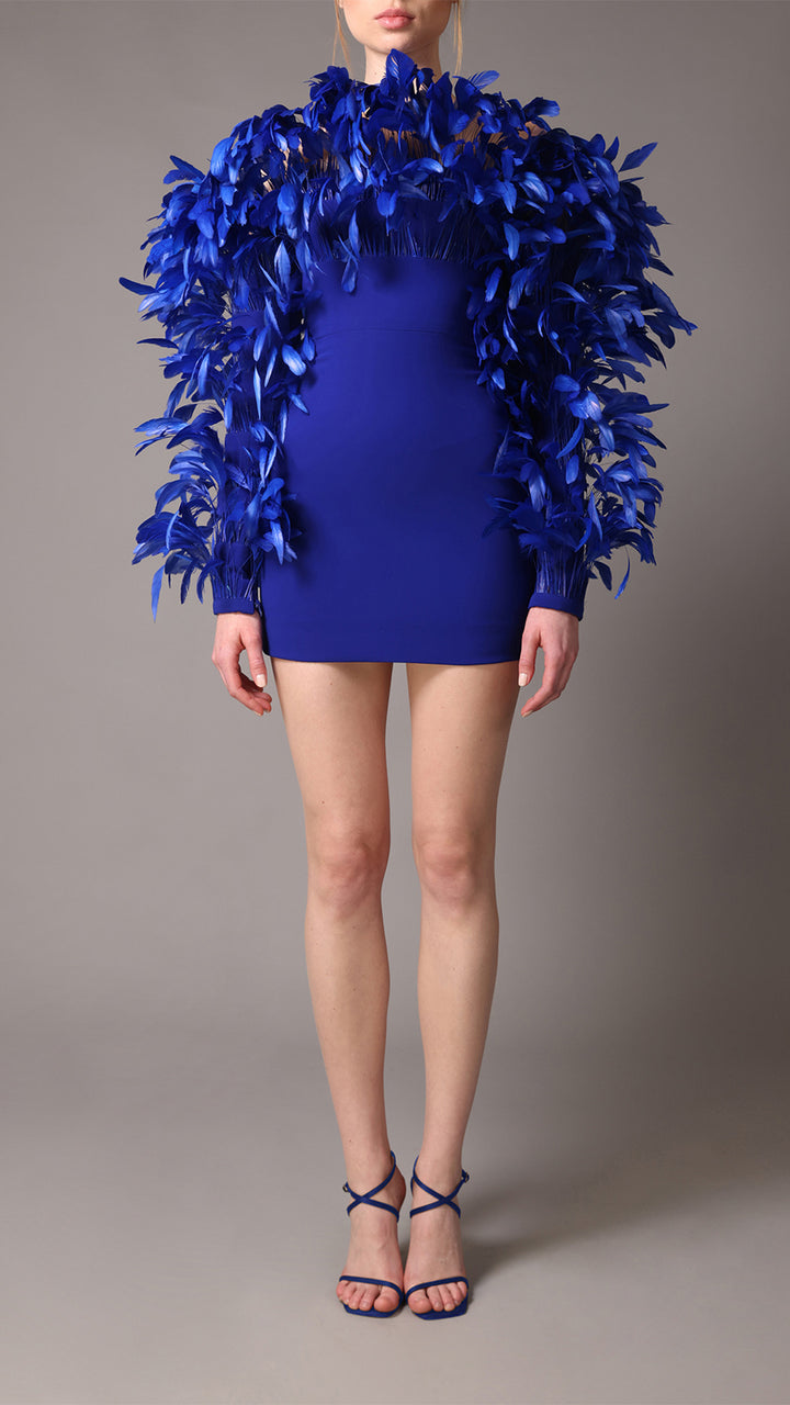 Crepe Mini Dress with Feathers