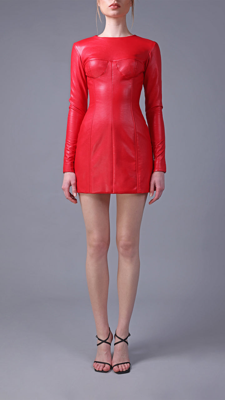 Long-Sleeved Leather Mini Dress