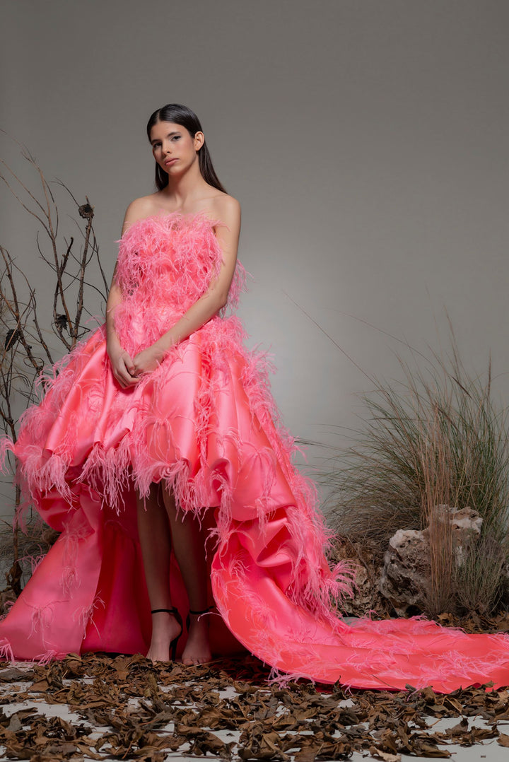 Strapless High-Low Dress with Feathers
