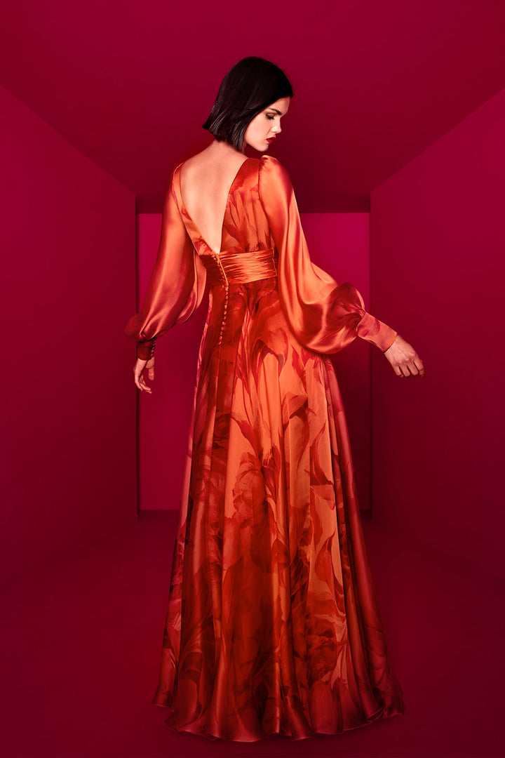 Silk Organza Printed Long-Sleeved A-line Dress