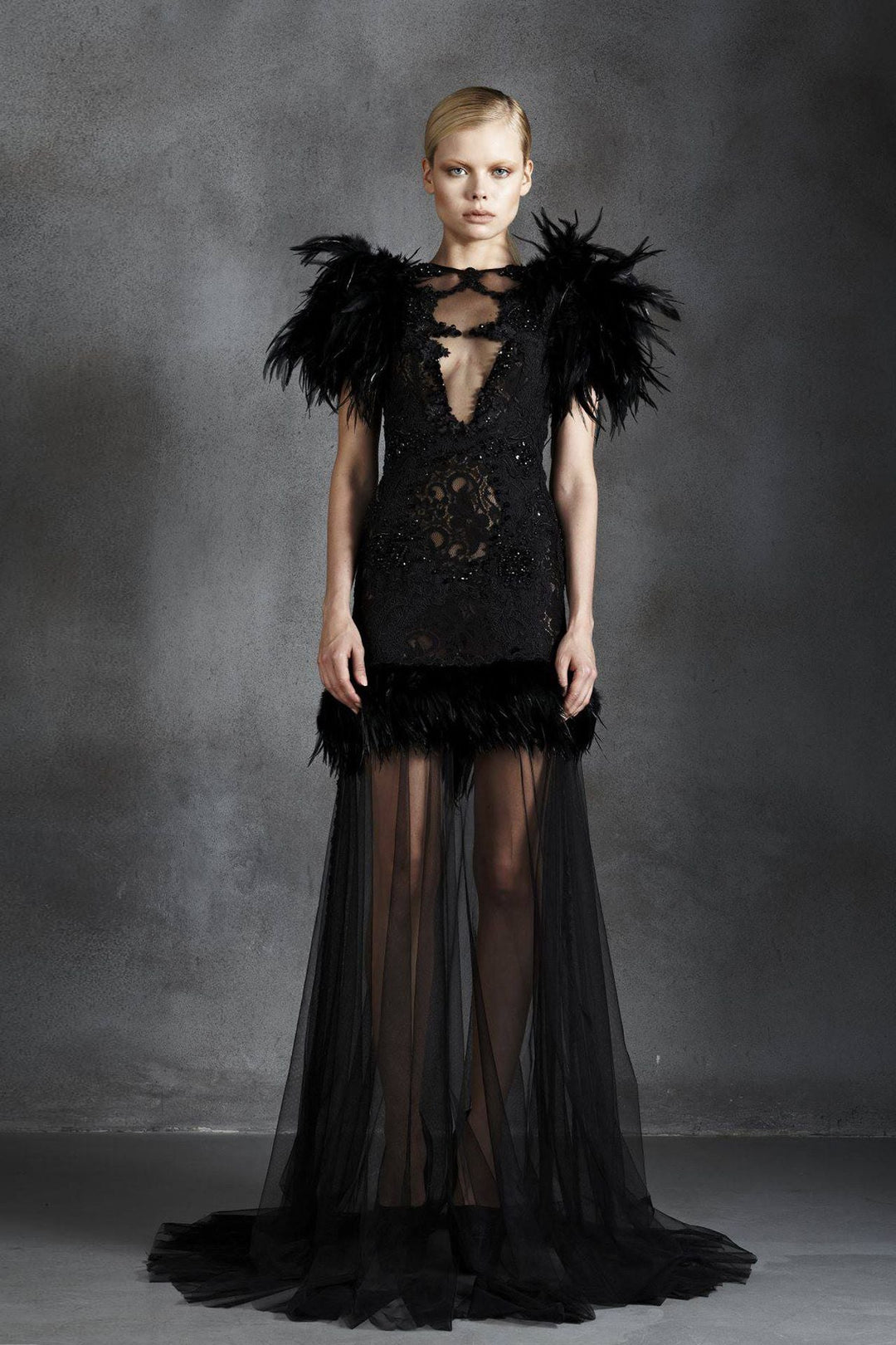 Modified A-line Dress with Feathers