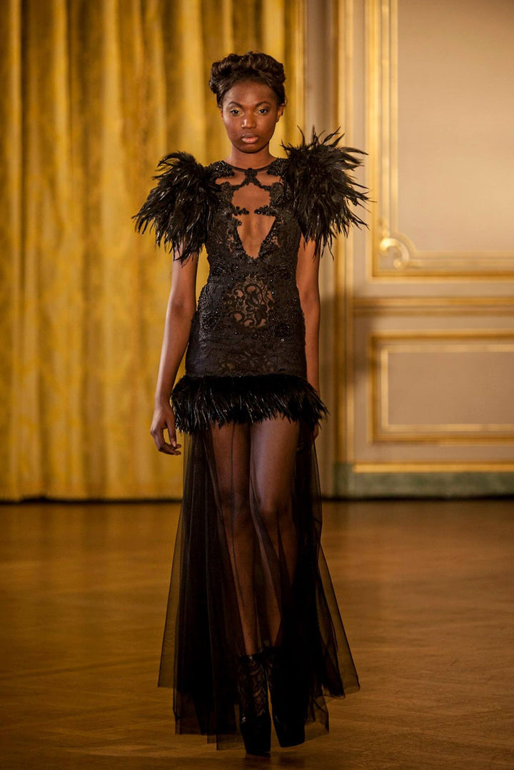 Modified A-line Dress with Feathers