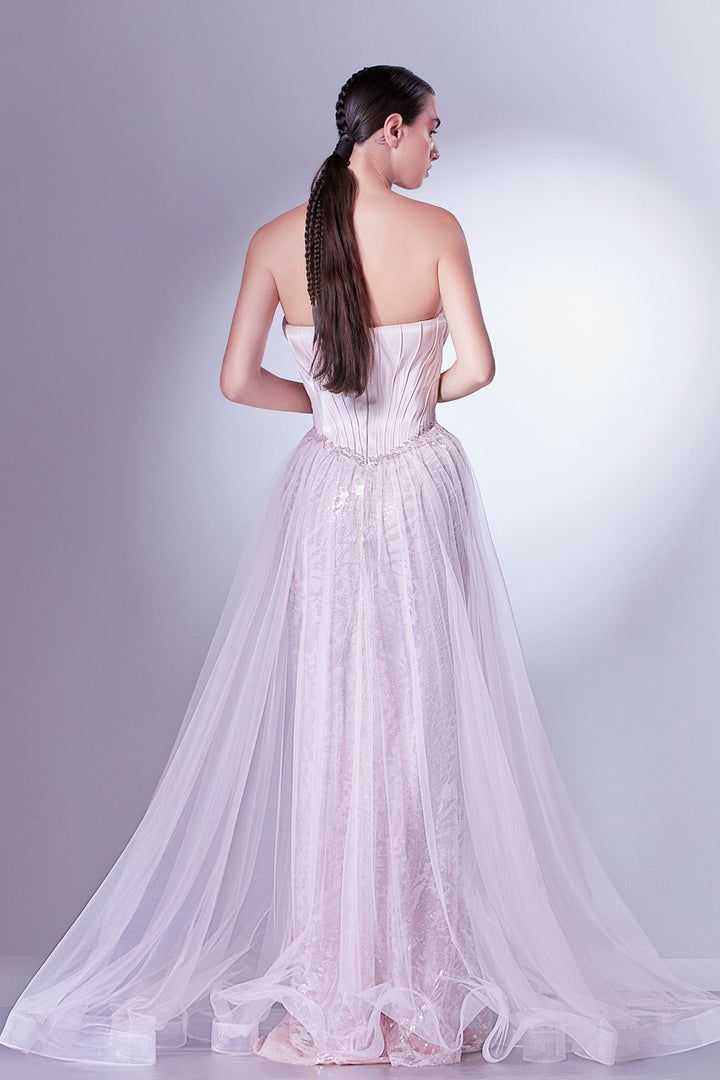 Strapless Organdie and Tulle Dress