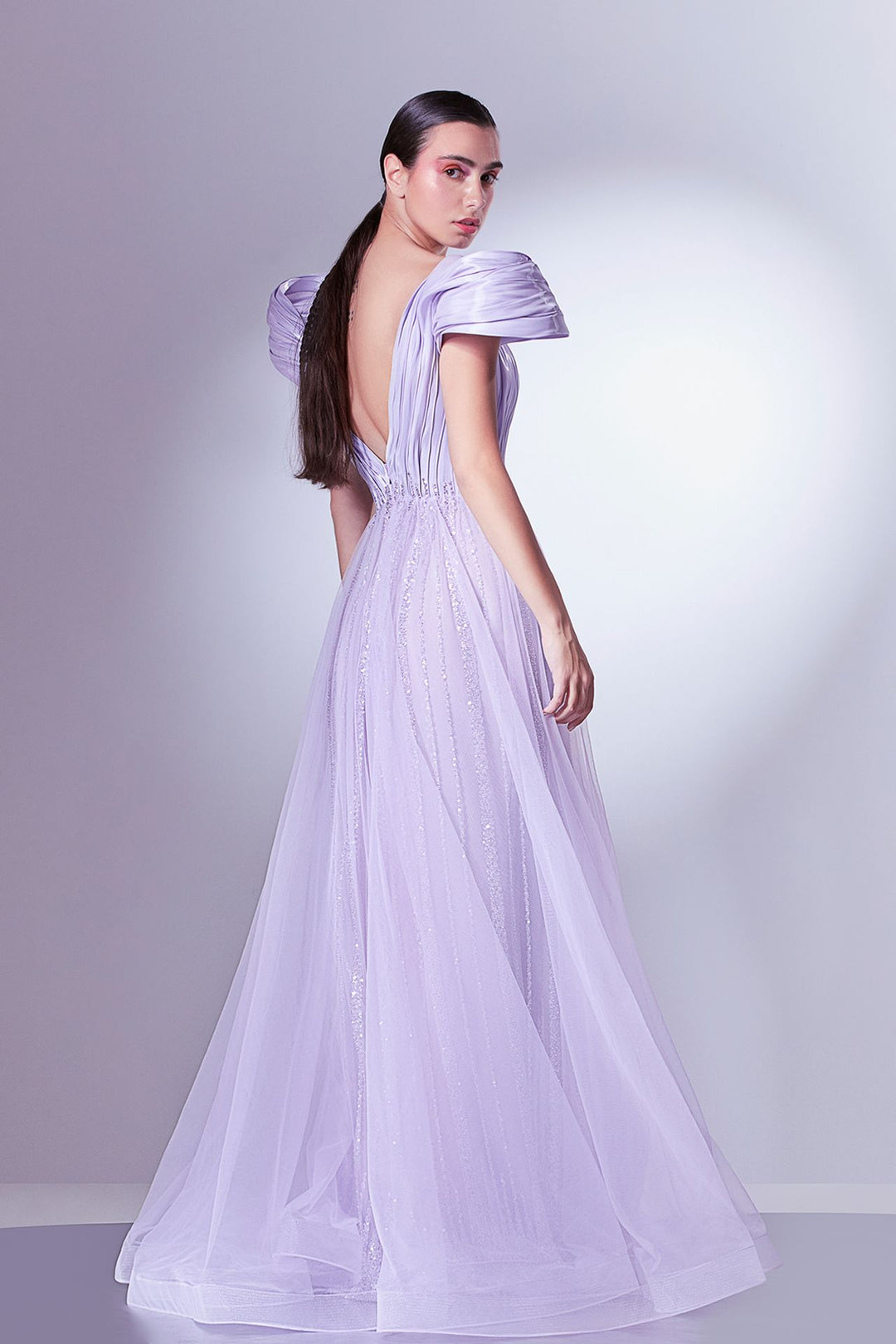 A-line Tulle Dress
