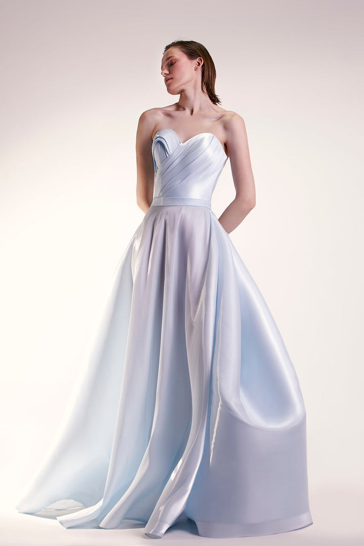 Strapless Organdie A-line Dress