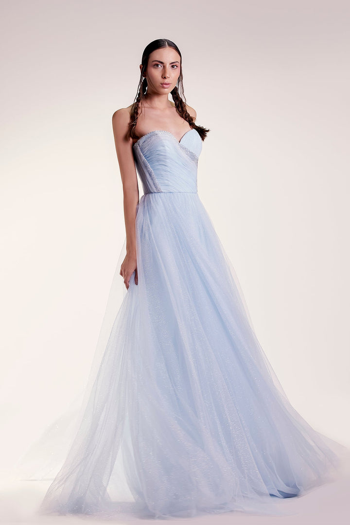 Strapless A-line Sparkly Tulle Dress