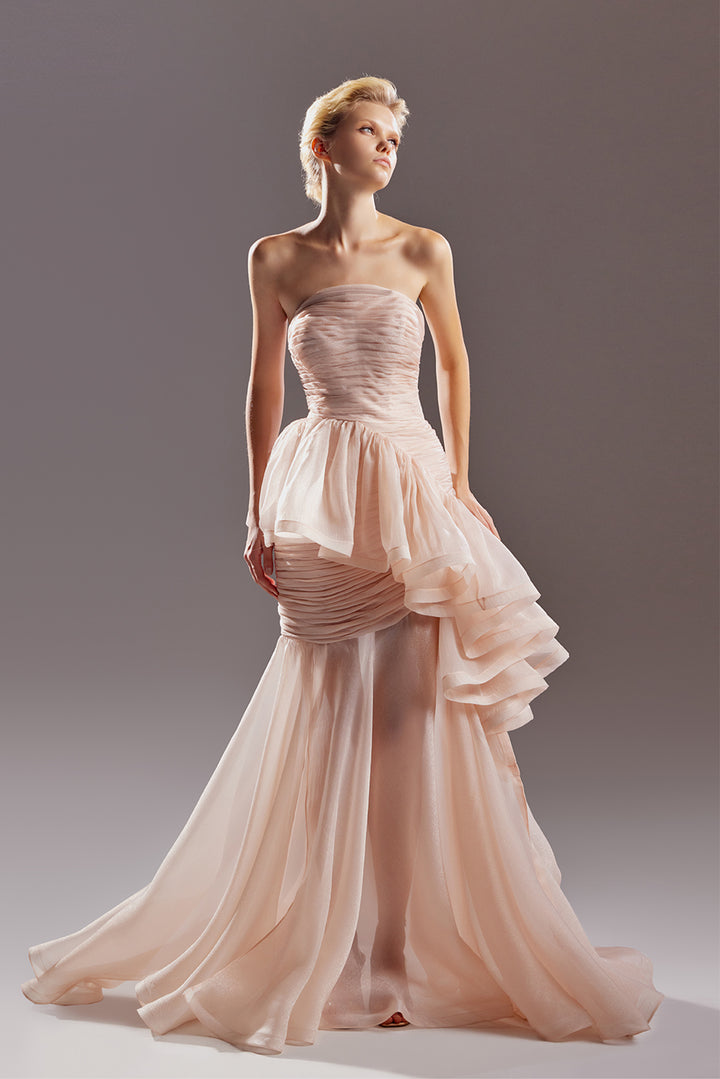 Strapless Organza Dress