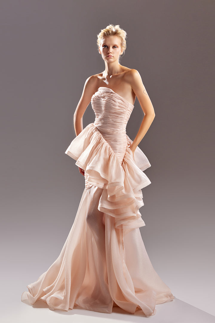 Strapless Organza Dress