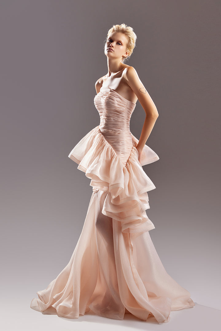 Strapless Organza Dress