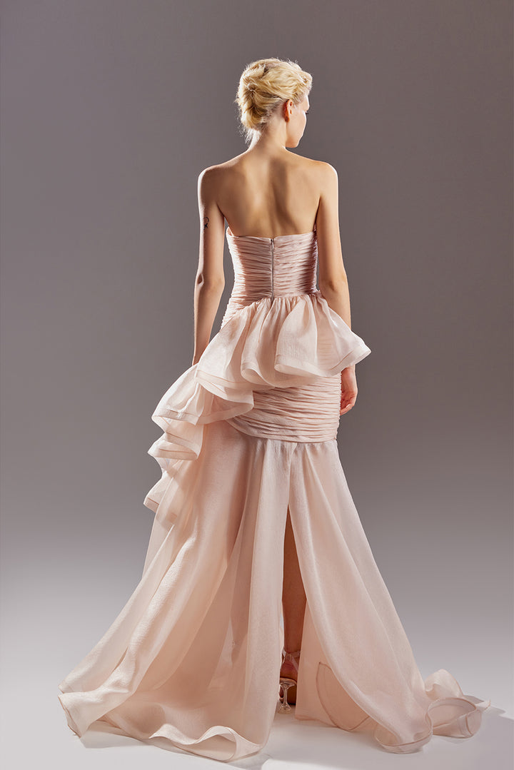 Strapless Organza Dress