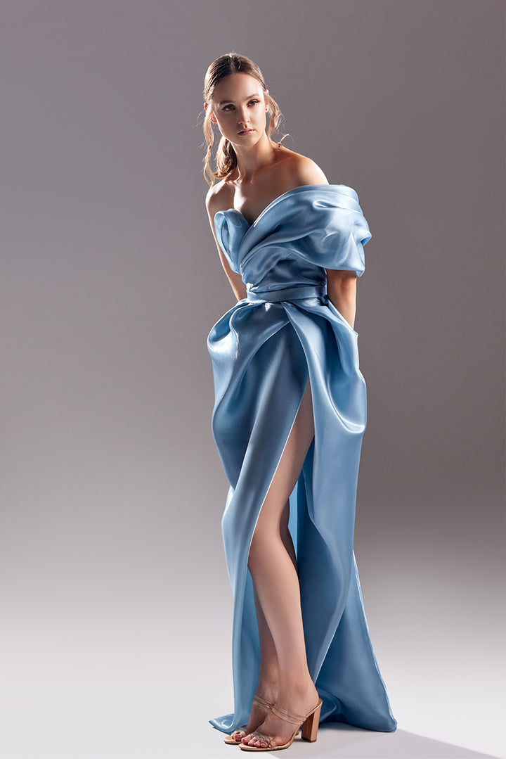 One-Shoulder Organdie Draped Dress