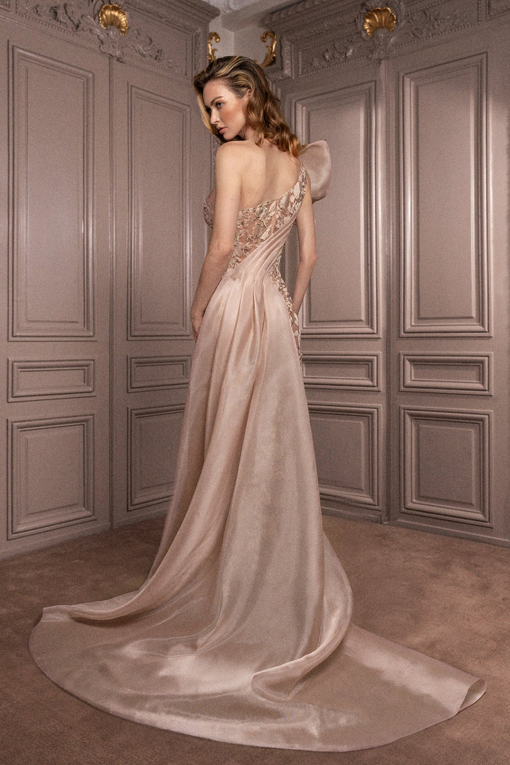 Tulle and Organza Embroidered One-Shoulder Dress