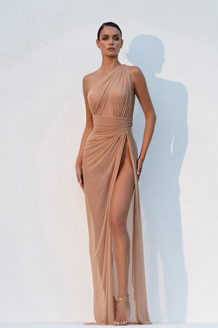 One-Shoulder Fitted Tulle Dress